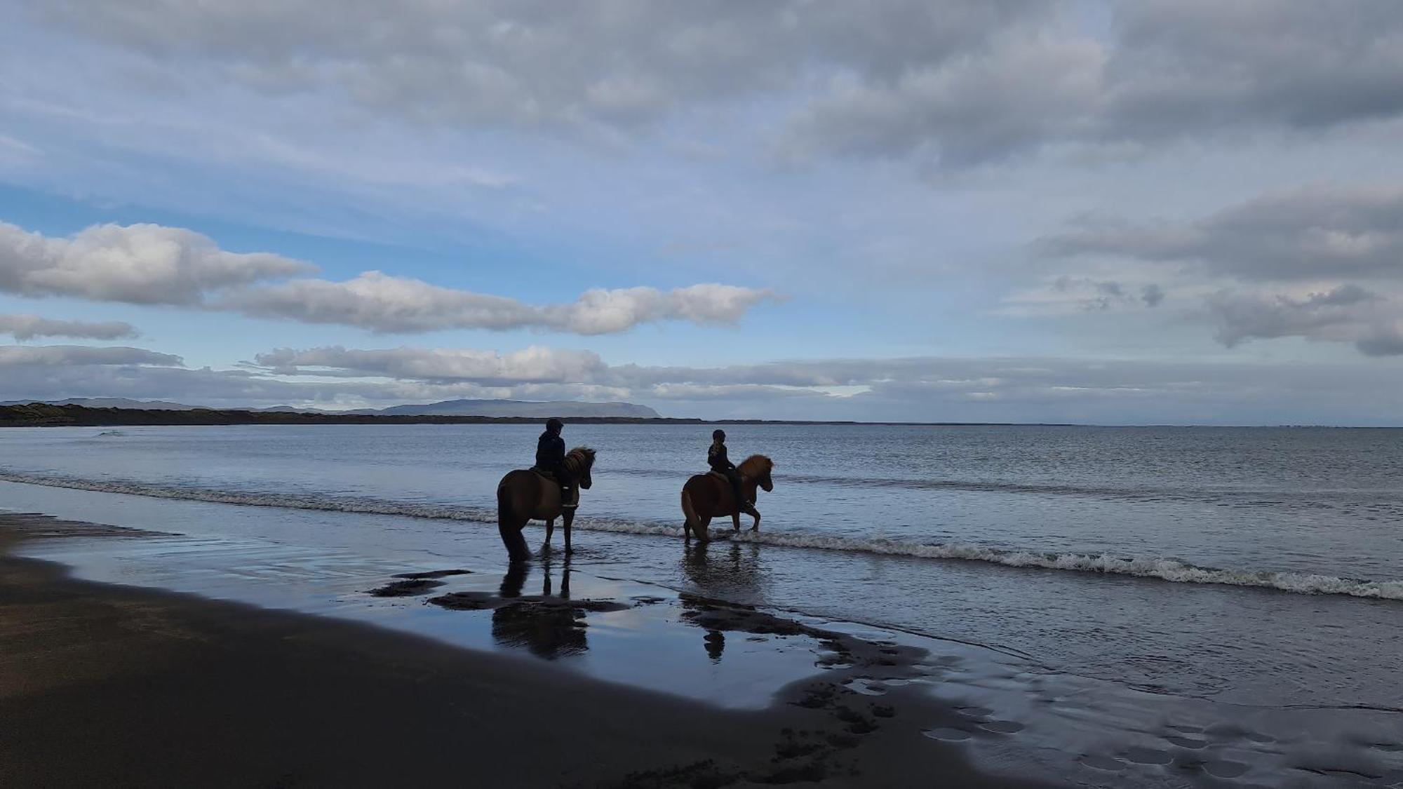 Cora's House & Horses Olfus