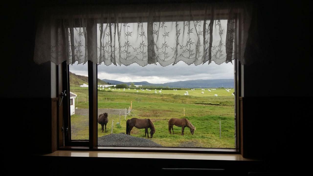 Cora's House & Horses Farm stay Olfus