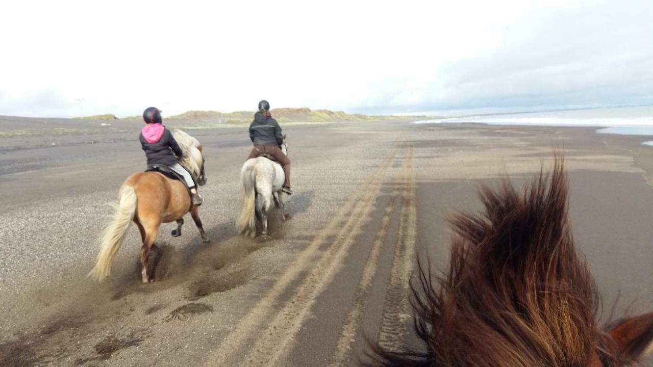 Cora's House & Horses *