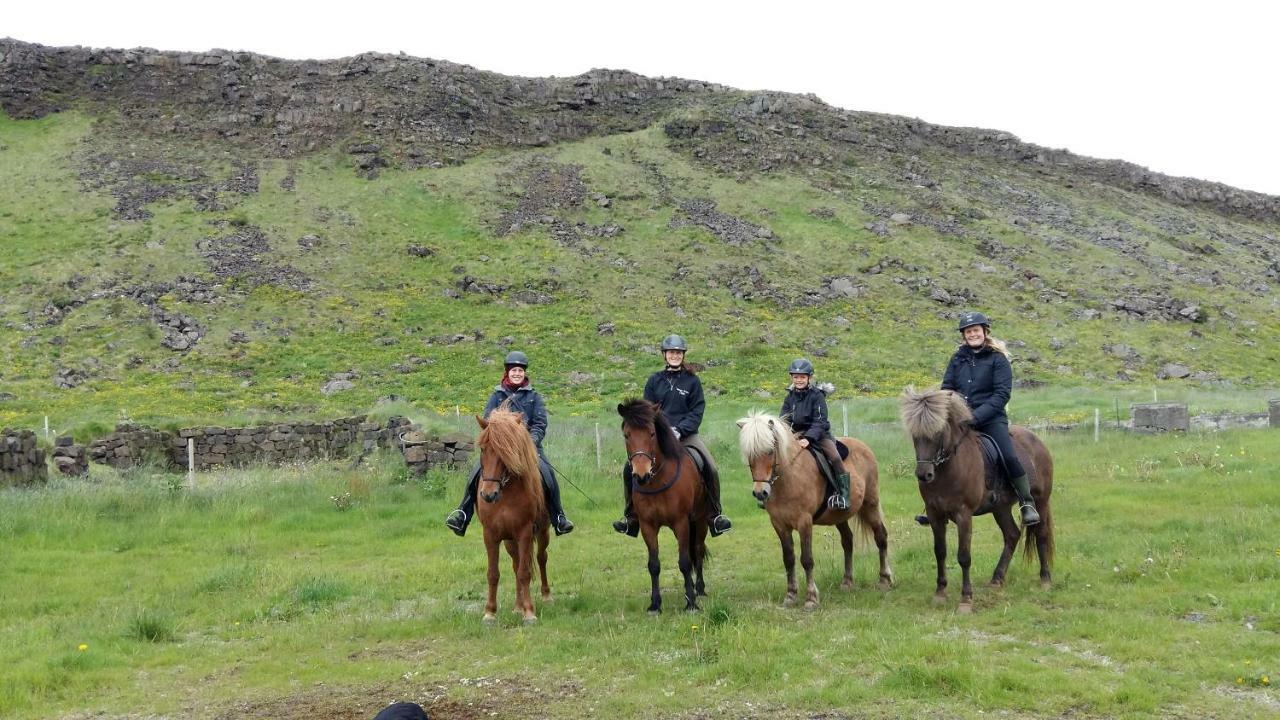 Cora's House & Horses * Olfus